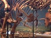 PALEOFICHA: Tyrannosaurus