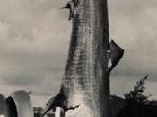 tiburón megaboca