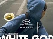 White (2014)
