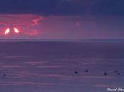 tragedia comunes pesca profesional