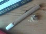 Cannabis
