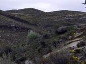 Dinosaurios Rioja