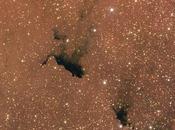 Barnard