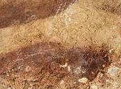 pinturas rupestres tienen huella femenina
