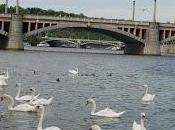 Praga