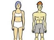 Biotipos: Ectomorfo