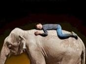 "Eo", Luis Cerezo: amistad entre niño elefante