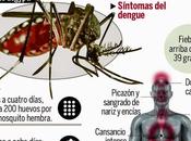 Virus vienen “revienen”: Chikungunya polio