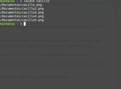Como encontrar archivos Linux usando locate
