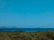 Cielo, mar, arbusto, piedra. Ibiza, 2014. Digital, edición con...
