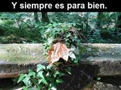 maldita ansiedad