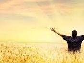 Gratitud