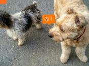 Estamos Agustito CXII. extraña Pareja #funny