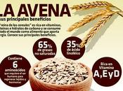 beneficios consumir avena diariamente