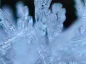 Superpoderes bacterianos: Crystal Frost Radiactive