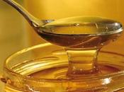 Principales características miel features honey