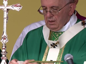 Papa Francisco: Quien vive para servir, sirve vivir video fotos]