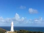 Cómo vender candidatura brevemente