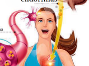 suplemento efecto placebo