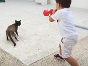 supermanes vacas