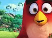 Primer Trailer Pelicula Angry Birds