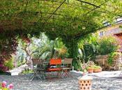 Pergolas Rusticas