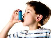 ¿Sabías cucarachas provocan alergias asma?