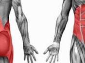 Fortalecer parte central cuerpo