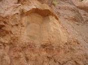erosión cárcavas