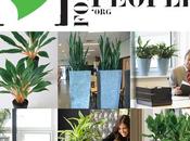 plantas entorno laboral