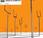 Muse: Origin symmetry