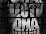 orgullo primate