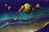 Biosensor detector Virus