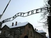 años medio cárcel robar placa Auschwitz