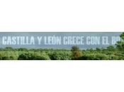 Datos forestales Castilla León datos Tercer Inventario Forestal Nacional (IFN3)