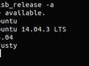 Como saber version Ubuntu bits