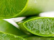 Sábila para cabello