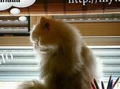 Estamos Agustito CXIII. Nooo #bitacoras2015