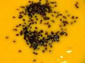 Sopa zapallo
