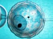 Realizar pruebas fertilidad todas mujeres años edad