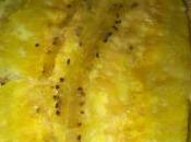 Tostones