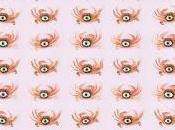 [Apuesta Telúrica] Seafood Special Times When Sing Along