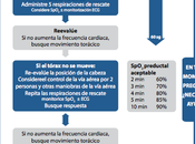 Resumen Ejecutivo Recomendaciones European Resuscitation Council 2015 para Reanimación adultos niños