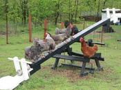 Estrellas emergentes:Betty