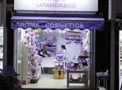 Lavanda
