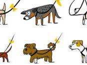 ¿Qué significa perro lleve lazo amarillo? Yellow Project
