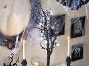 Noches Halloween.