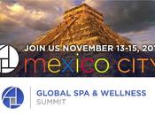 “The Global Wellness Summit 2015”