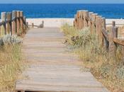 ¿Cuáles actuaciones realizadas parte Fundación Biodiversidad costa?