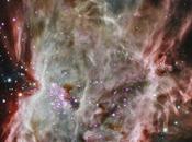Chandra penetra nebulosa LLama